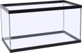 How Our 29-Gallon Glass Aquarium Transformed Fishkeeping Fun
