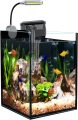 How Our Tiny Aquascape Dream Came Alive with This Nano Tank