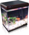 The Self-Cleaning Aquarium That Makes Betta Care Effortless for Us