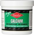 Why We Trust This Vitamin D3-Free Calcium for Our Reptiles