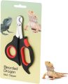 The Perfect Trim: How We Keep Our Bearded Dragons’ Nails Safe & Smooth