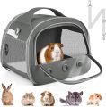 Keeping Our Small Pets Safe and Comfy on Every Outing