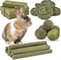 How Natural Timothy Chew Toys Keep Our Rodents’ Teeth Healthy