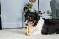 How Our Dogs Loved the Chew Toy That Cleans Their Teeth